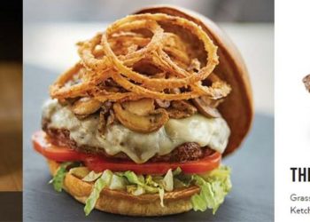 [Food] 관광객 가장 많이 찾는 LA 햄버거 3대 천왕