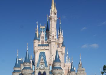 디즈니랜드 오픈 아직 일러