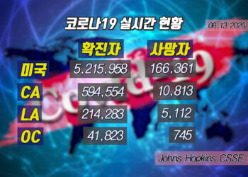 8월13일 코로나19 현황