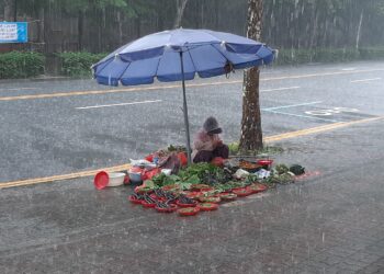 쏟아지는 폭우에도 일어설 수 없는 삶의 무게 