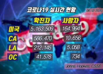 8월 12일 코로나19 현황