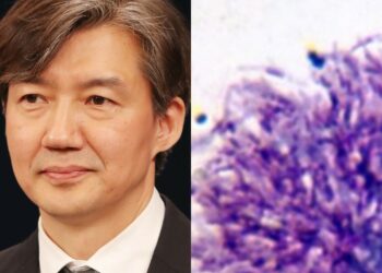 조국과 말라리아  “서민 지적 부적절”