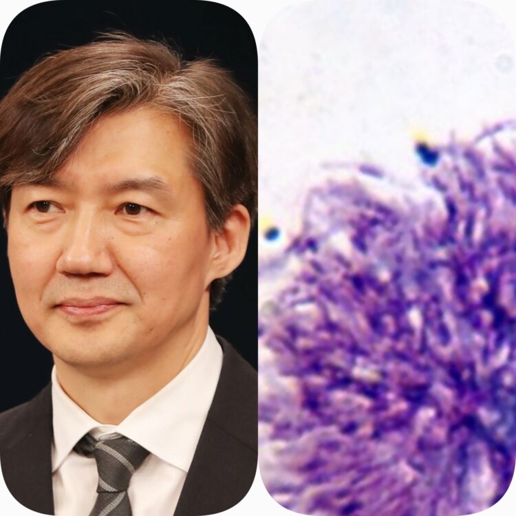 조국과 말라리아  “서민 지적 부적절”