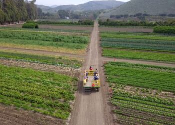 강수경의 🔺이번 주엔 뭐하고 놀지?🔺(4) “주차비, 입장료 다 FREE~~”