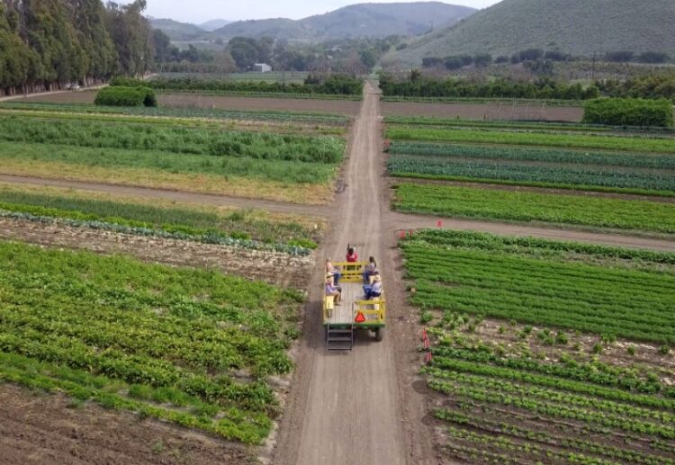 강수경의 🔺이번 주엔 뭐하고 놀지?🔺(4) “주차비, 입장료 다 FREE~~”