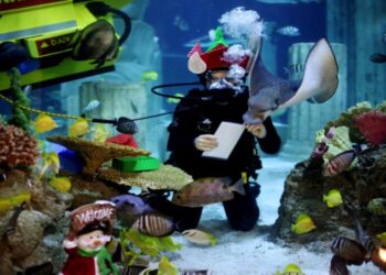 강수경의 (2)카운티식물원 무료 입장, 케이튼 아동박물관 흥미