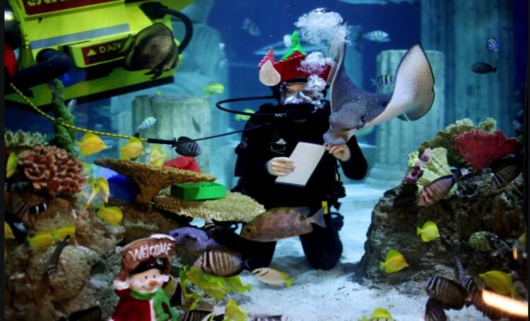 강수경의 (2)카운티식물원 무료 입장, 케이튼 아동박물관 흥미