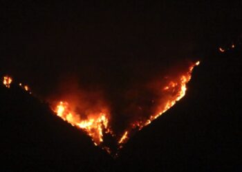 “산불진화에 죄수들 대거 투입”…출소 후 소방관 허용 주법 제정