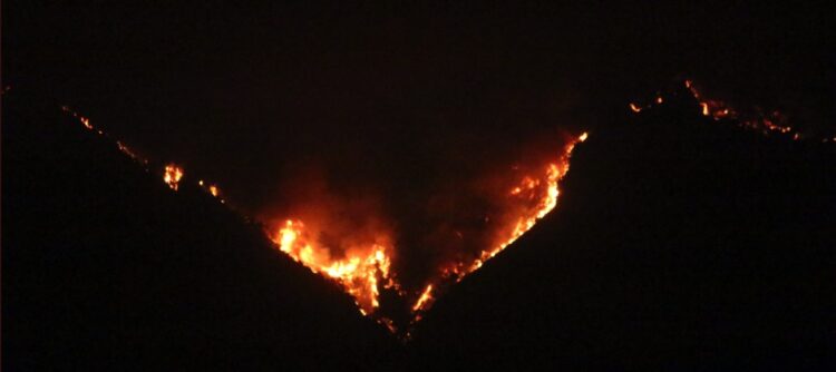 “산불진화에 죄수들 대거 투입”…출소 후 소방관 허용 주법 제정