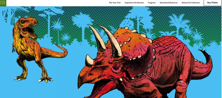 강수경의 🔺이번 주엔 뭐하고 놀지?🔺(3)공룡보러 갈까? 호박따러 갈까?