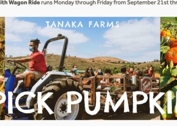 강수경의 🔺이번 주엔 뭐하고 놀지?🔺(3)공룡보러 갈까? 호박따러 갈까?