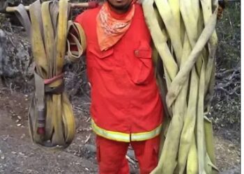 “목숨 걸고 산불 껐는데 추방이라니…”