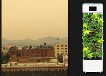 공기청청기 찾는 한인들  “가격이 너무 비싸요”