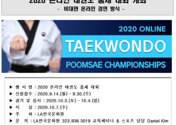 태권도 경기를  온라인에서? 글쎄요..