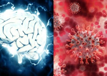 코로나 바이러스, 뇌도 공격한다..완치돼도  심각한 후유증