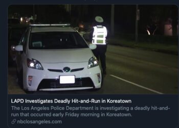 한인타운 배달 여성, 새벽 윌튼길서 뺑소니 사망