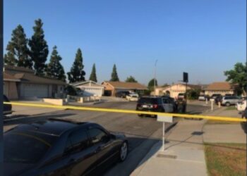 주택가 수영장 뒷마당서 시신 3구 발견..살인사건 수사 중