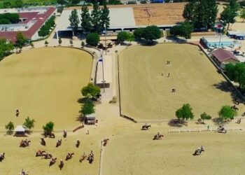 강수경의  🔵이번 주 뭐하고 놀지? (7)🔵그리피스 팍에 자동차 극장이