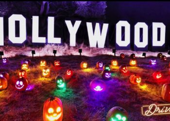 🔺강수경의’이번 주 뭐하고 놀지?’🔺(8)”해피 핼로윈!!, 그래도 즐겨야죠”