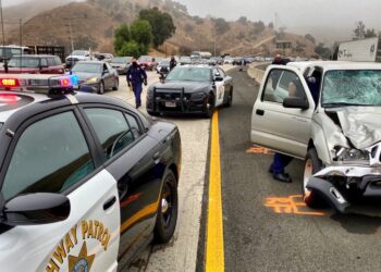 101프리웨이 뛰어가던 20대 여성 사망