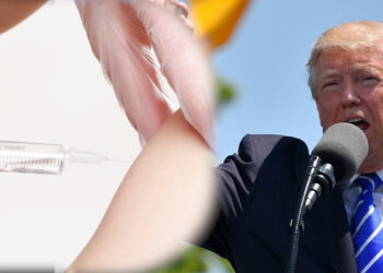 다음주부터 백신 배포 시작 🔺Knews LA 채널🔺