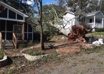 침실서 자던 20대 부부,  쓰러진 나무에 참변