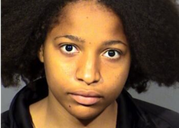 두딸 살해 20대 여성 체포 “어린애 장기 팔면 거액 벌 수 있어”