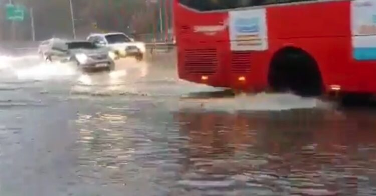 서울에 기록적 가을 폭우, 113년만에 11월 최다강수량