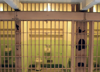 동성애인 구인광고 낸 77세 노인 살해범, 40년만에 석방