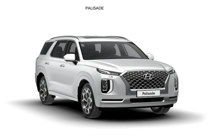 현대차 ‘팰리세이드’서 나는 ‘양말 고린내’ 악취, 정체 밝혀졌다.