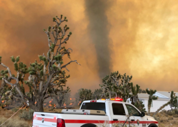 모하비 사막서 보기 드문 ‘파이어토네이도’ 현상 목격