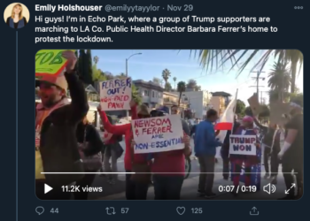 추가 봉쇄 항의, LA 보건국장 자택 앞서 시위  