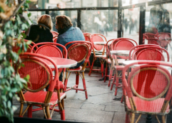 보건안전 수칙 위반 식당 5곳 폐쇄 명령