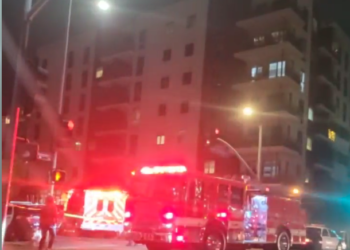 한인타운 한복판서 갓 태어난  신생아 사체 발견