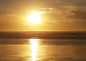 Adiós !! 2020년…세계 10대 주요 뉴스