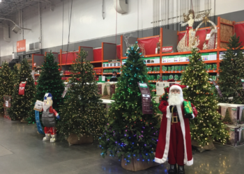 크리스마스트리 준비 지금부터..홈디포, 로우스 생나무 선호