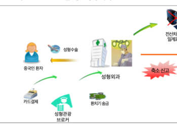 수술비 ‘환치기’ 성형외과의사, 치과의사 등 세금체납자 6,965명 실명 공개