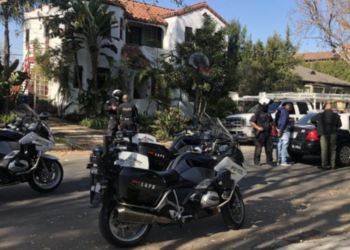 LA 경찰은 어떤 운전자를 끌어내릴까?