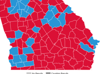 조지아 상원 결선 초박빙 접전..워녹, 퍼듀 각각 선두