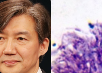 검찰, “조국 전 장관, 가족범행 용인..신종정경유착 사건”