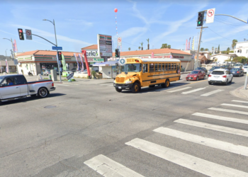 한인타운 놀만디 길서 뺑소니..20대 사망