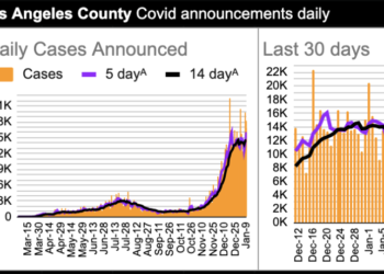 LA 누적확진자 90만명…통제불능 수렁 속 빠져든다