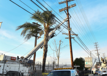 뒷마당 끊어진 전선 감전사..아버지 구하려던 딸도 참변