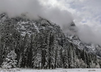 요세미티 공원, 8일부터 예약제 입장 허용