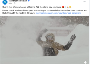 들이붓는 폭설에 맘모스 ‘SnOMG’…적설량 36인치