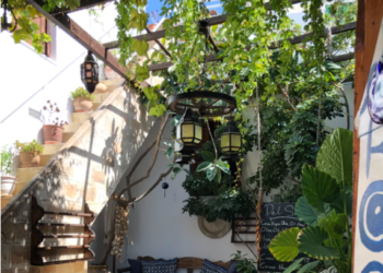 “거실서 키우려는데..” 실내 식물 가꾸기 인기