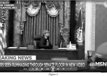 의사당 펜스 자리 점거 남성, UCLA 학생이었다.