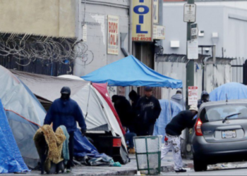 노숙자 캠프 연쇄 살인사건 범인 잡고 보니. 