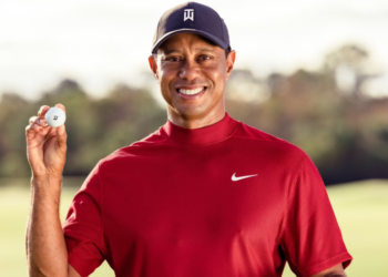 LA서 타이거 우즈 차량 전복, 다리에 큰 부상