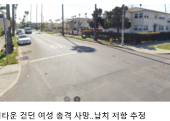 한인타운  30대 여성 총격 살해범 체포